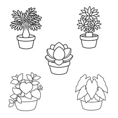 Collection of ornamental potted plants and flowers featuring simple botanical line art illustrations.  © Oceanna