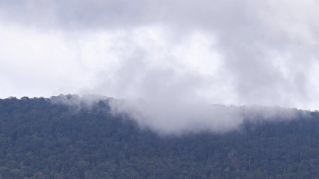 A video showcasing natural scenery from high mountains, surrounded by mist, swirling winds, rain clouds covering the trees, and refreshingly cool air along the way.