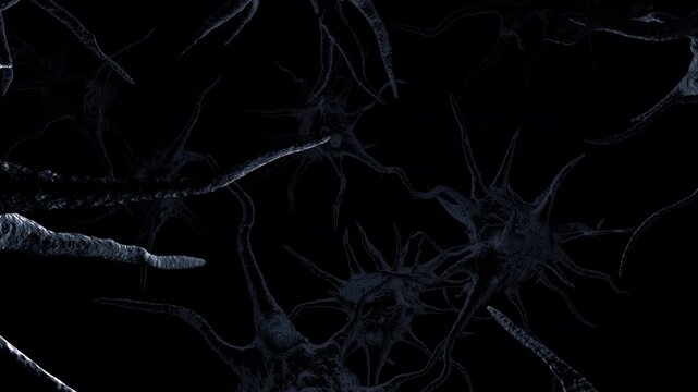 Dynamic background of bacteria and viruses suitable for medical research