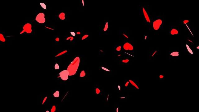 Explosion of red hearts animation on transparent background. Heart confetti. Festive effect for Valentine's Day. 