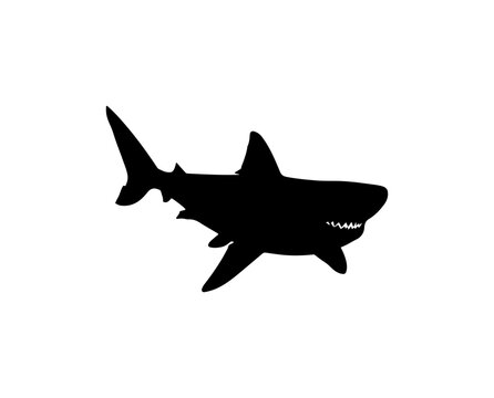 Black silhouette of a white shark with open mouth, transparent background, shark silhouette