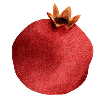 Watercolor Fresh Red Pomegranate Fruit Illustration