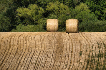 hay bales in the field © Hans Steen-Kiel
