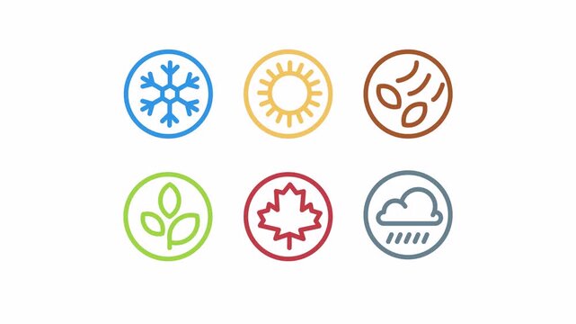 Set of four seasons in circle colorful with dry and rainy weather icons. Summer, winter, spring, autumn, dry, rainy. Alpha channel