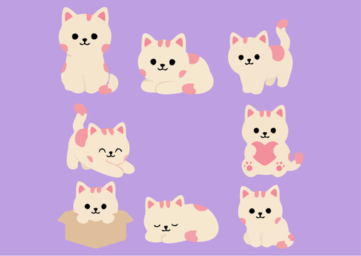 Beage Cat