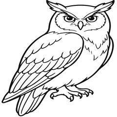 Fototapeta premium owl on a branch
