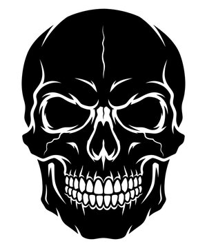 Detailed black and white illustration of a human skull with sharp teeth and eye sockets