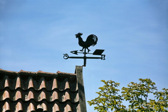 Wetterhahn