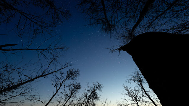 Glowing Christmas star above a peaceful mountain landscape