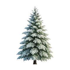 Obraz premium PNG Snow-covered evergreen tree illustration.