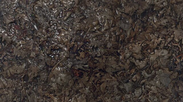 Close-up slow motion of cracked dry mud texture with deep fissures and arid earth surface
