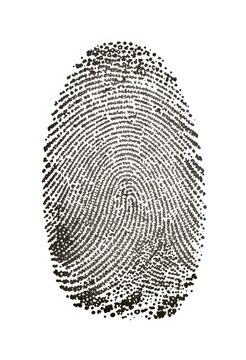Black fingerprint on white paper, identity and security concept, biometric authentication and personal identification