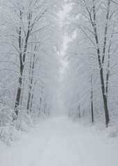 Fototapeta premium Serene winter forest path