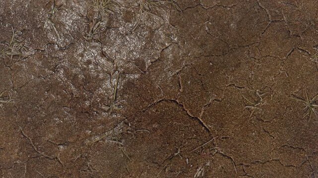 Close-up texture of cracked dry mud ground with natural earthy patterns and erosion lines