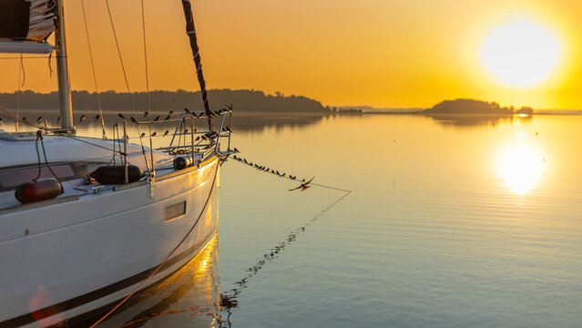 Sailing Boat Bow at Golden Sunrise with Birds on Lake