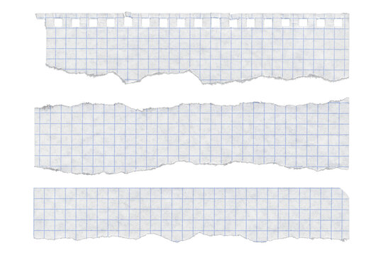 Torn graph paper strips with punched holes on transparent background