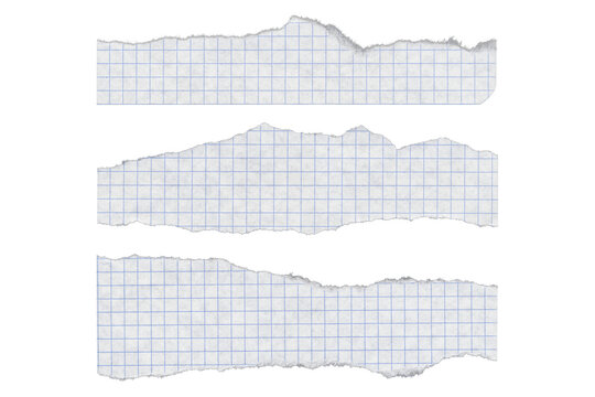 Torn graph paper strips with uneven edges on transparent background