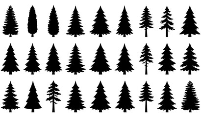 Fototapeta premium Set of black silhouettes of various coniferous trees isolated on a white background for design