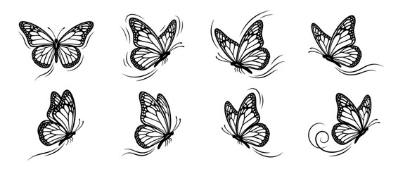 Set of eight stylized butterfly illustrations on transparent background