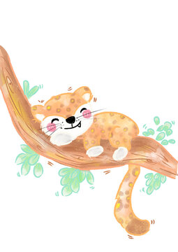 cozy sleepy cheeta
