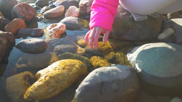 Child water rocks splashing in a shallow tide pool during a peaceful sunset nature exploration for curious kids
