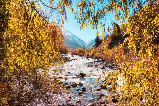 Mountain River Flowing Through Vibrant Autumn Forest in Central Asia