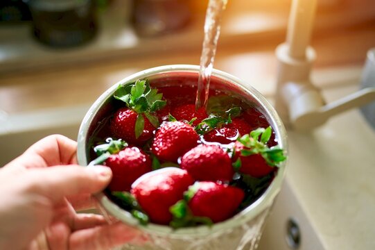 Preparing healthy fruit by washing strawberries in bowl