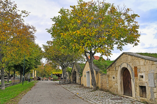Historic wine cellars along the famous Kellergasse in Purbach am Neusiedler See during autumn, Burgenland, Austria