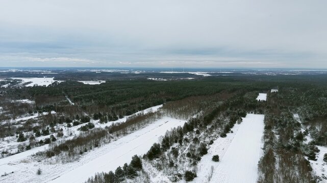 Natural background of a winter forest in snow