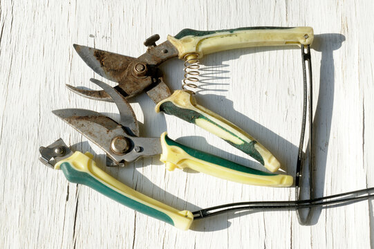 Old and broken branch cutter