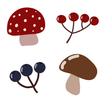 Seamless autumn forest pattern featuring mushrooms, wild berries, leaves, acorns and woodland elements in a cozy seasonal botanical illustration style. Perfect for fabric, wrapping paper