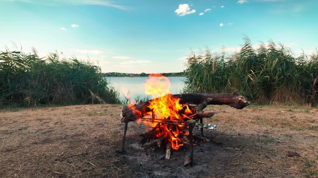 Slow-motion footage of a bonfire burning on a metal grill stand by a lakeside, skewers roasting over the flames with reeds and blue sky behind.