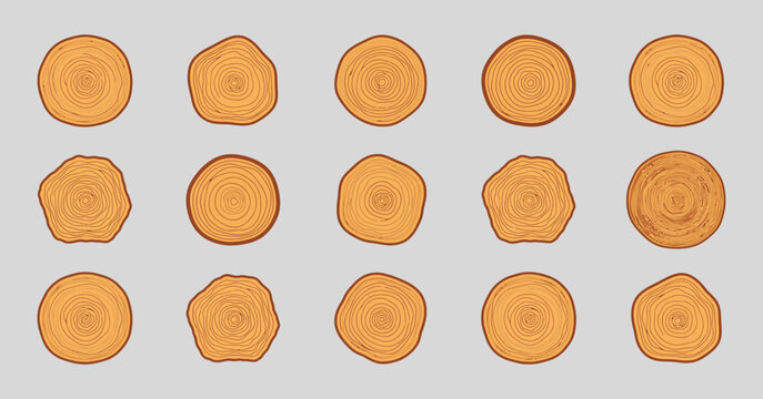 Arrangement of circular wood cross sections showcases varying growth rings