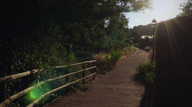 Walking along a curving park path, POV  passing close to tree leaves
