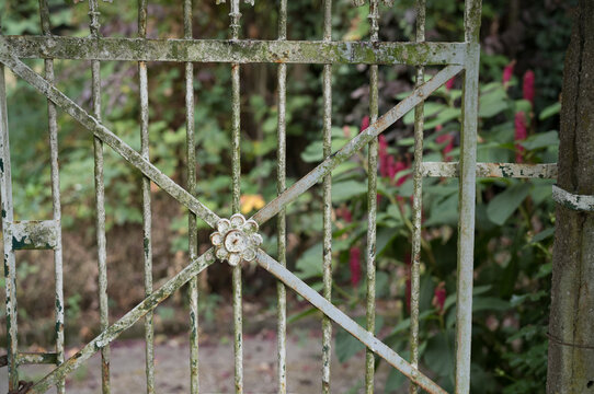 Old metal gate with weathered paint and greenery in background during daytime