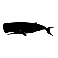 Obraz premium Silhouette of a sperm whale swimming in deep blue ocean waters for marine life designs