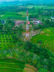 Fotobehang Groen Aerial view of lush green rice terraces reflecting the sky in the morning light in Bali, Indonesia  © rahmadhimawan