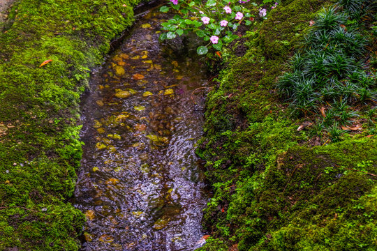 Tranquil river scene with mossy rocks and morning mist in forest,dreamlike atmosphere in the woods,waterfall in nature rainforest concept.