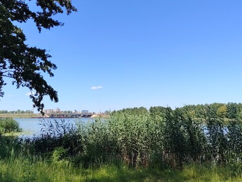 Scenic view of a wide river with green reeds on the shore and a bridge under construction in the distance