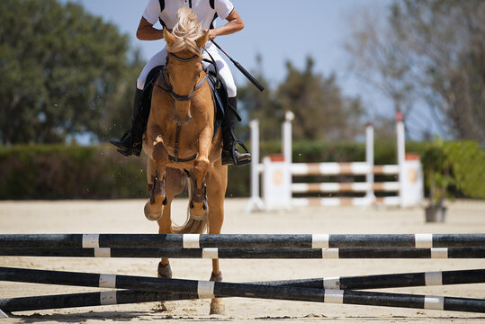 Jockey on her horse leaping over a hurdle, jumping over hurdle on competition