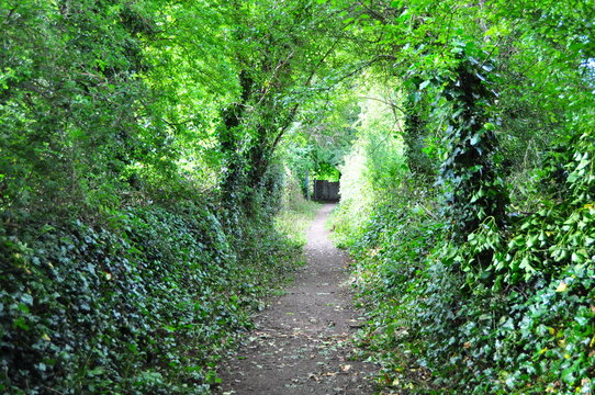 Town park in Killorglin, Ireland