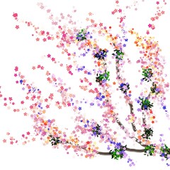 Watercolor Sakura Blossom Tree Vector illustration of a blooming cherry blossom tree with colorful pink, purple, and orange flowers scattering on a white background. © Siraya