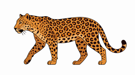 Fototapeta premium Majestic Walking Leopard Side View Illustration with Realistic Spotted Rosettes for Wild Safari Animal Themes