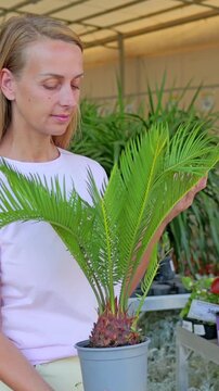 Woman Choosing Potted Sago Palm Plant in Garden Center