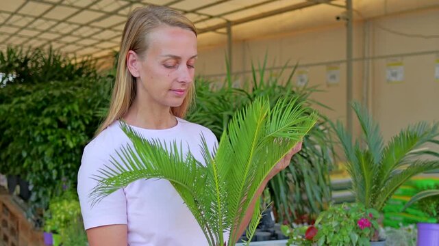 Woman Choosing Potted Sago Palm Plant in Garden Center