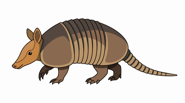 Cute Armadillo Illustration with Protective Shell Armor Isolated on White Background for Wildlife Nature Design