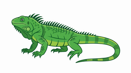 Fototapeta premium Profile of a Green Iguana Exotic Tropical Lizard with Detailed Spiky Scales and Long Tail on White Background