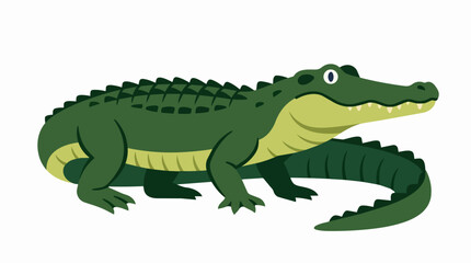 Fototapeta premium Green Crocodile Illustration of a Wild Alligator Reptile with Scaly Skin and Sharp Teeth for Nature Designs