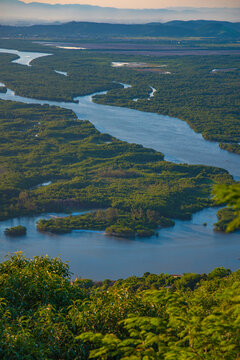 Vertical aerial view of winding river and mangrove forest in Rio de Janeiro Brazil