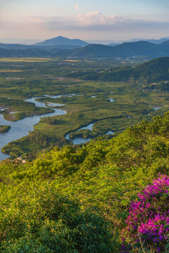 Vertical view of a winding river in Guaratiba mangrove forest of Rio de Janeiro Brazil